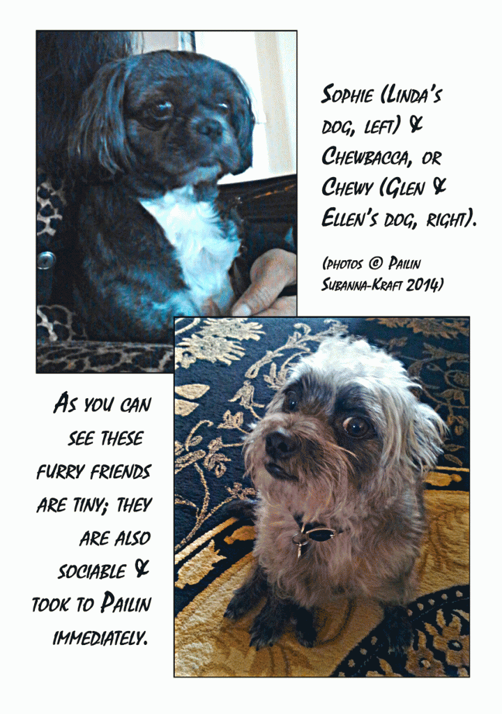 sophie&Chewy_psImages_montage_oct2014_ws