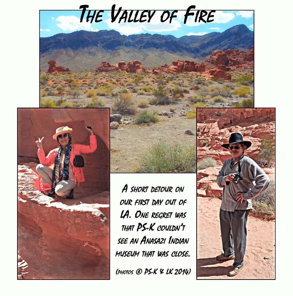 valley_ofFireCollage_28sept2014_ws